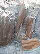 FileNo.197-113.jpg