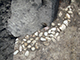 FileNo.197-120.jpg