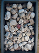 FileNo.197-123.jpg