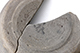 FileNo.197-173.jpg