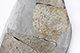 FileNo.197-208.jpg