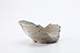 FileNo.197-223.jpg