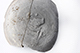 FileNo.197-259.jpg