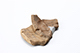 FileNo.197-334.jpg
