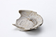 FileNo.197-343.jpg