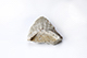 FileNo.197-355.jpg