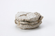 FileNo.197-365.jpg