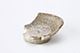 FileNo.197-392.jpg