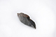 FileNo.197-453.jpg
