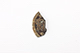 FileNo.197-476.jpg