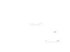 図版 197-E501.png