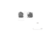 図版 197-E545.png