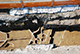 FileNo.198-014.jpg