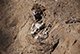 FileNo.198-022.jpg