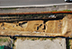 FileNo.198-028.jpg