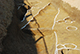FileNo.198-029.jpg