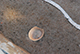 FileNo.198-065.jpg