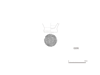 図版 198-E205.png