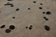 FileNo.200-033.jpg