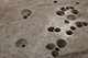 FileNo.200-035.jpg