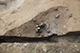 FileNo.200-037.jpg