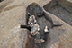 FileNo.200-041.jpg