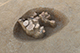 FileNo.200-048.jpg