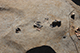 FileNo.200-056.jpg