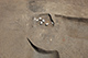 FileNo.200-064.jpg