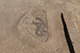 FileNo.200-073.jpg