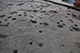 FileNo.200-081.jpg