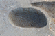 FileNo.200-084.jpg