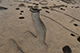 FileNo.200-085.jpg