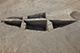 FileNo.200-095.jpg