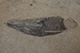 FileNo.200-096.jpg