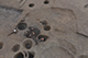 FileNo.200-100.jpg