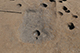 FileNo.200-104.jpg