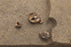 FileNo.200-112.jpg