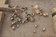 FileNo.200-118.jpg