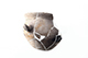 FileNo.200-132.jpg