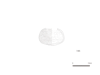 図版 200-E195.png
