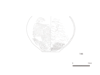 図版 200-E196.png