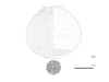 図版 200-E429.png