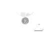図版 200-E430.png