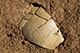 FileNo.201-013.jpg