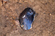 FileNo.201-017.jpg