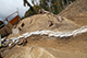 FileNo.201-019.jpg