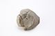 FileNo.199-012.jpg