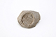 FileNo.199-016.jpg