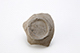 FileNo.199-019.jpg
